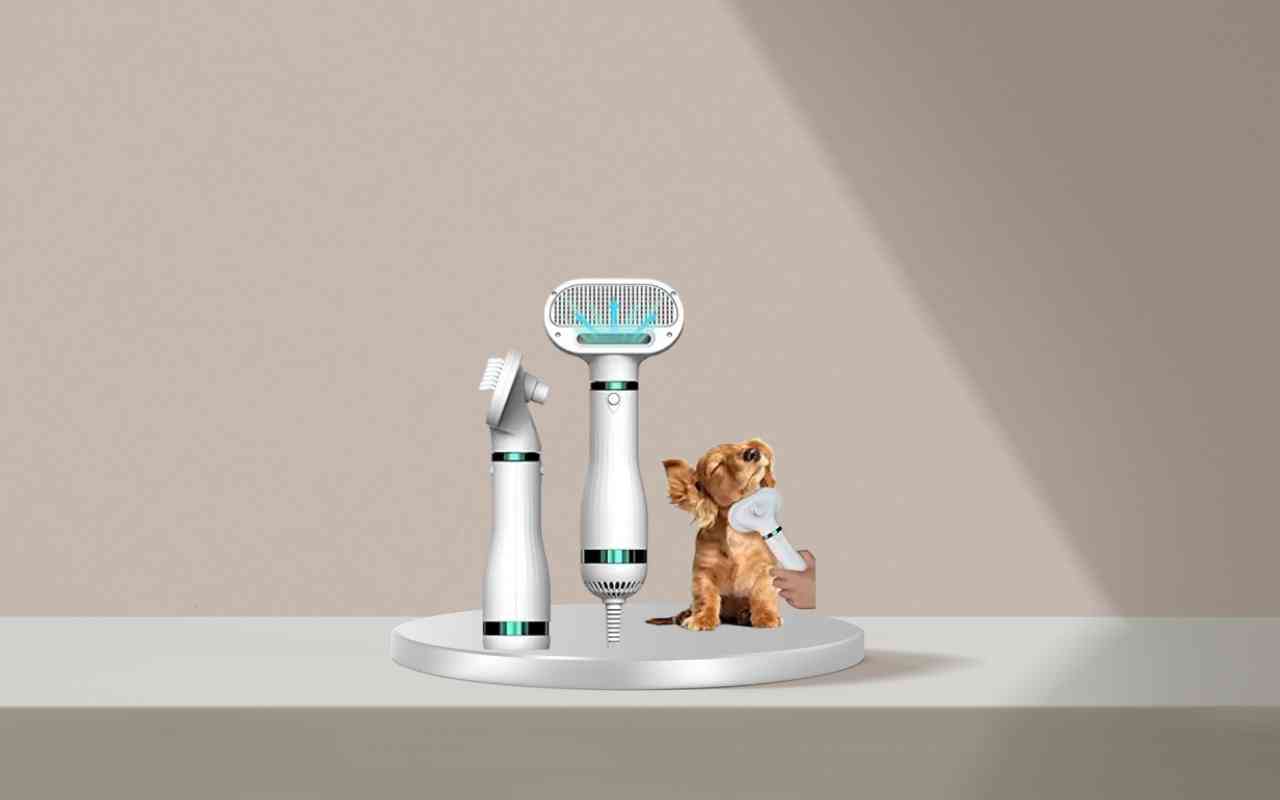 Scopri come addestrare cani e gatti in modo sicuro e facile con Nice Pet