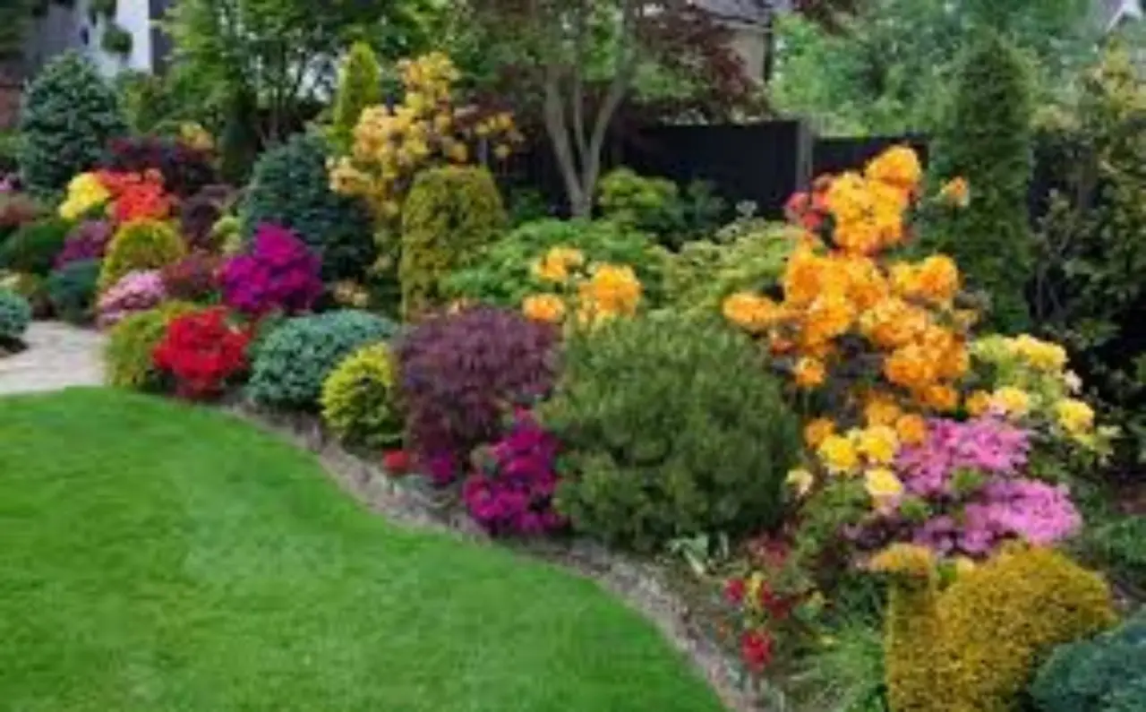 Come ottenere un giardino curato spendendo molto meno del previsto