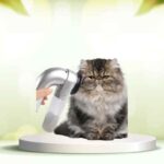 Scopri SpazzolAmica: elimina i peli degli animali da casa in modo semplice e veloce