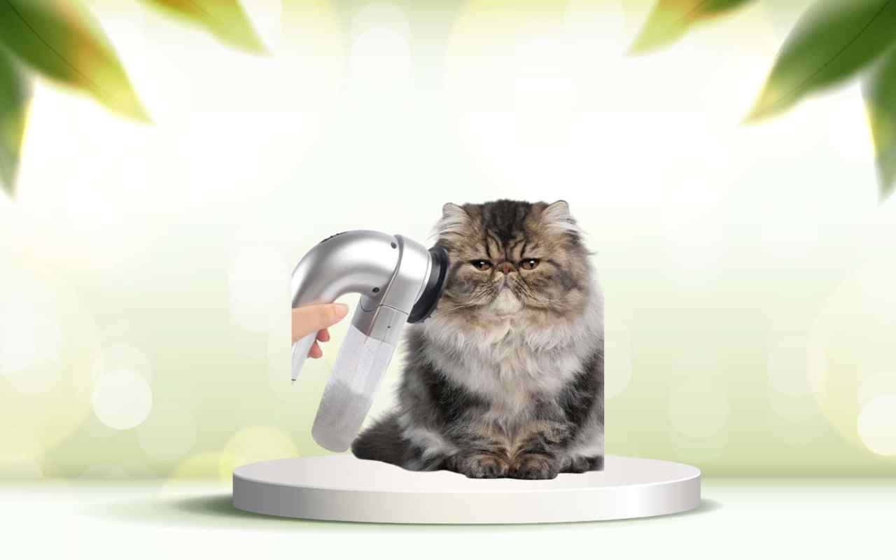 Scopri SpazzolAmica: elimina i peli degli animali da casa in modo semplice e veloce